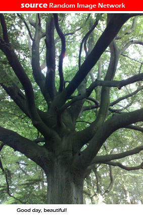 28062008714.jpg